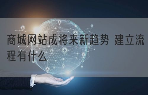 商城网站成将来新趋势 建立流程有什么(图1)