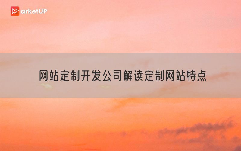 网站定制开发公司解读定制网站特点(图1)