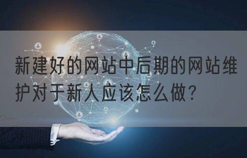 新建好的网站中后期的网站维护对于新人应该怎么做？(图1)