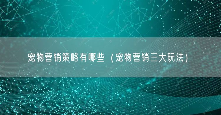 宠物营销策略有哪些（宠物营销三大玩法）(图1)