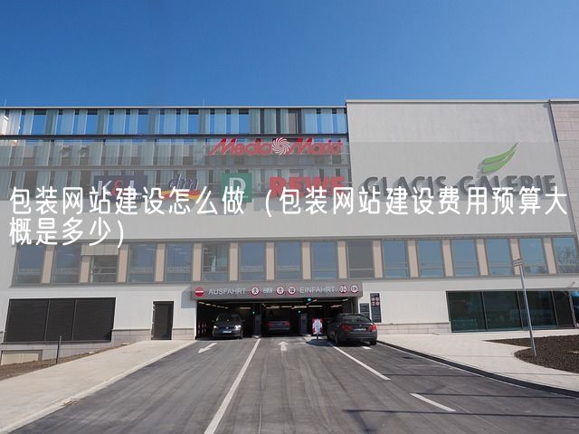 包装网站建设怎么做（包装网站建设费用预算大概是多少）(图1)