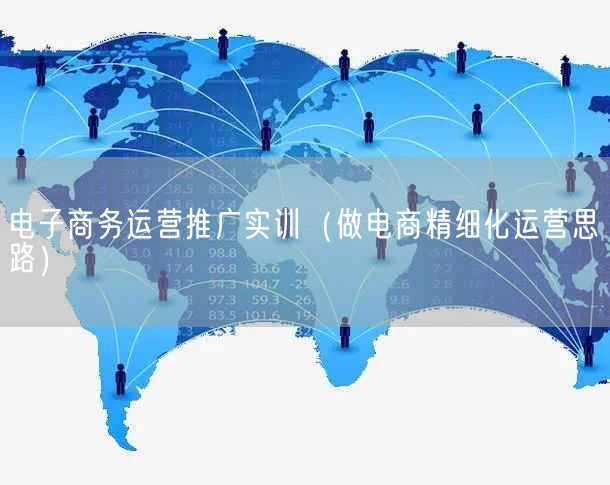 电子商务运营推广实训（做电商精细化运营思路）(图1)