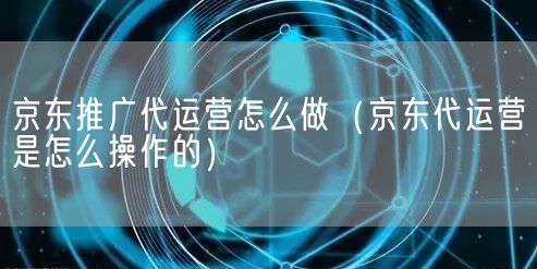 京东推广代运营怎么做（京东代运营是怎么操作的）(图1)