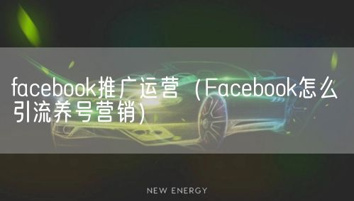 facebook推广运营（Facebook怎么引流养号营销）(图1)