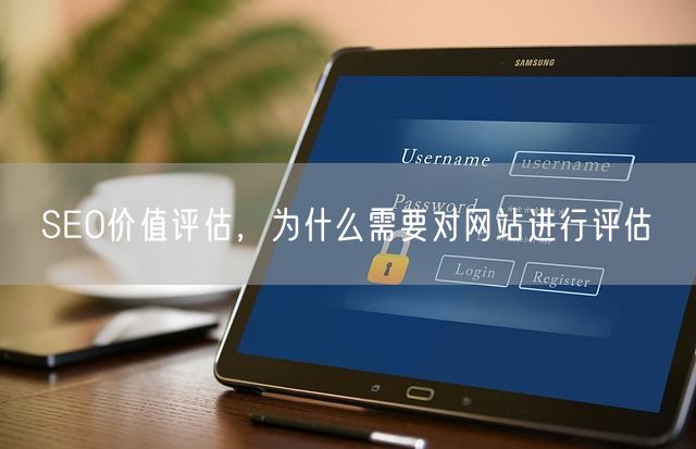 SEO价值评估，为什么需要对网站进行评估(图1)