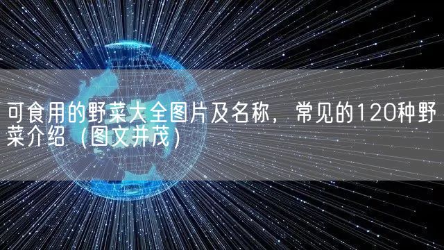 可食用的野菜大全图片及名称，常见的120种野菜介绍（图文并茂）(图1)
