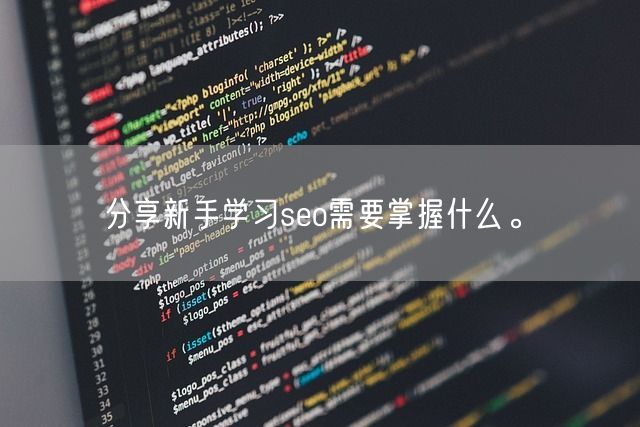 分享新手学习seo需要掌握什么。(图1)
