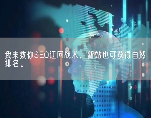 我来教你SEO迂回战术，新站也可获得自然排名。(图1)