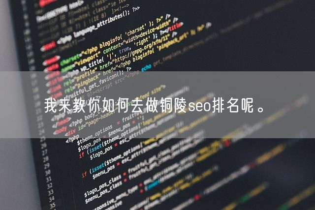 我来教你如何去做铜陵seo排名呢。(图1)