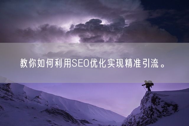 教你如何利用SEO优化实现精准引流。(图1)