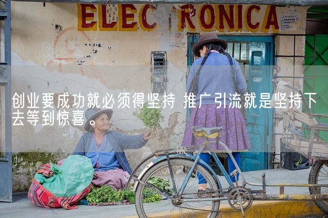 创业要成功就必须得坚持 推广引流就是坚持下去等到惊喜。(图1)