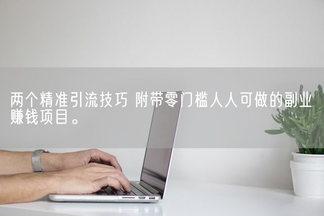 两个精准引流技巧 附带零门槛人人可做的副业赚钱项目。(图1)