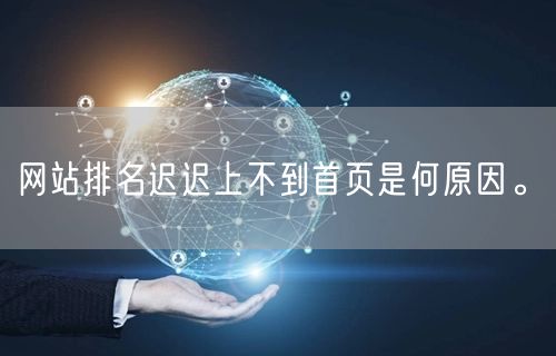 网站排名迟迟上不到首页是何原因。(图1)