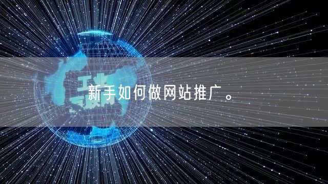 新手如何做网站推广。(图1)