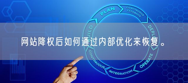 网站降权后如何通过内部优化来恢复。(图1)