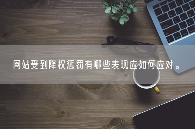 网站受到降权惩罚有哪些表现应如何应对。(图1)