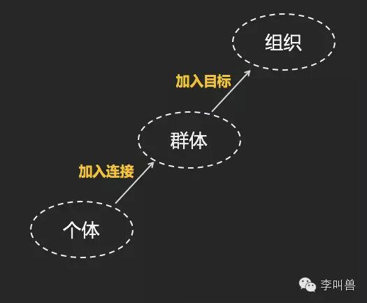 337 把社群建在脑海，而不是微信