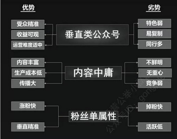 29 运营公众号必须搞懂：自媒体、平台号、垂直及细分号的定位！