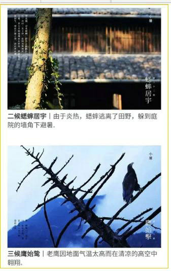 76 如何拯救自家丑丑的公众号？来，从配图开始。