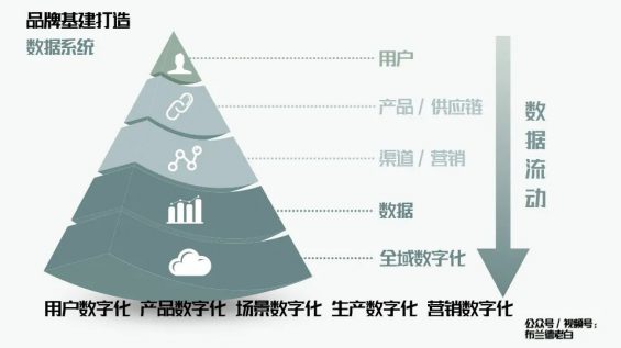  万字解析品牌全域增长模型