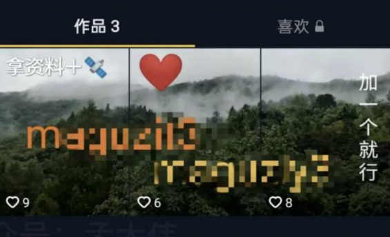 333 8大平台49个私域引流入口盘点