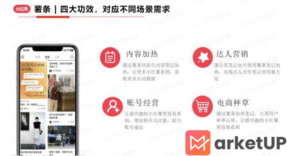 14 小红书薯条3.0，值得投吗？