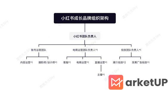 462 小红书运营团队组织架构设计方案