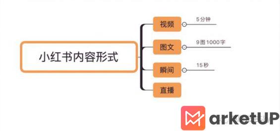 140 小红书平台新趋势|最全视频笔记解析指南